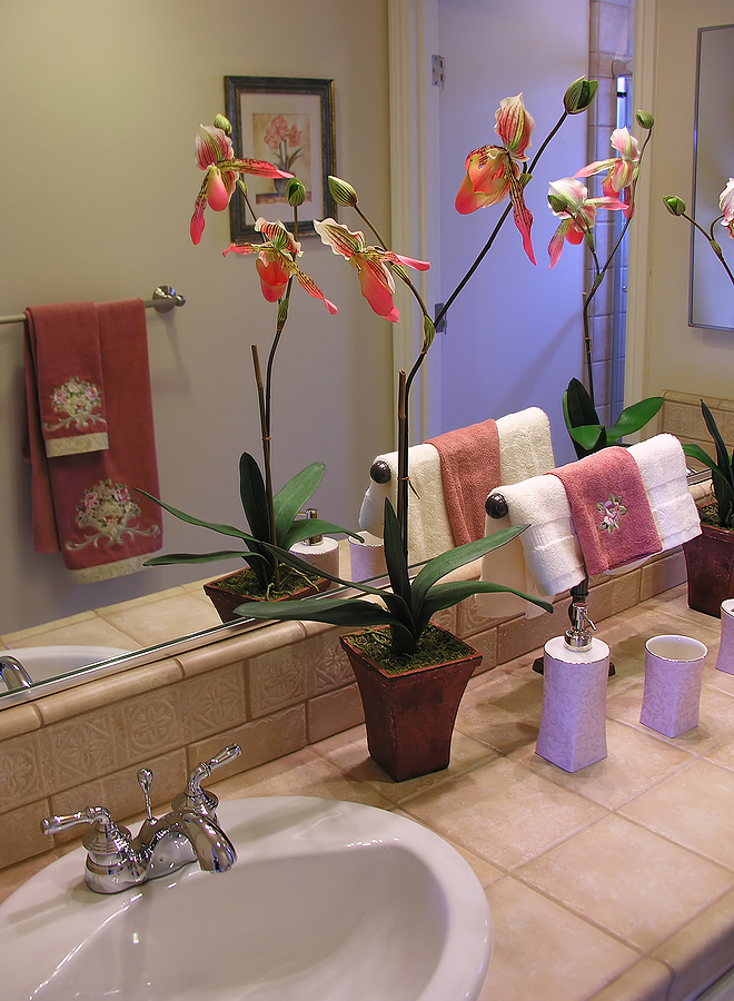 When and How Orchids Bloom | Orchid Care Zone